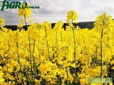 1agro.com.ua
