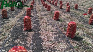 1agro.com.ua