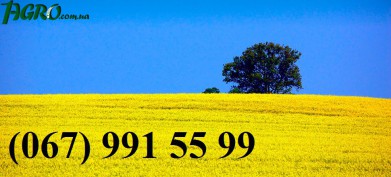 1agro.com.ua