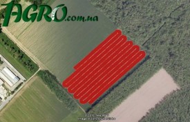 1agro.com.ua
