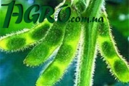 1agro.com.ua