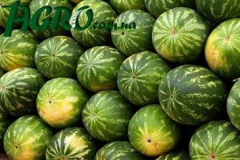 1agro.com.ua