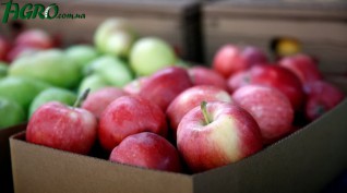 1agro.com.ua