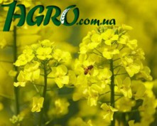 1agro.com.ua