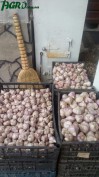 1agro.com.ua