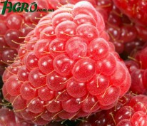 1agro.com.ua