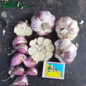 1agro.com.ua