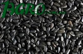 1agro.com.ua
