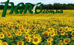 1agro.com.ua