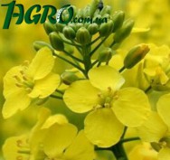 1agro.com.ua