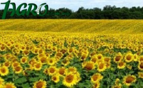 1agro.com.ua