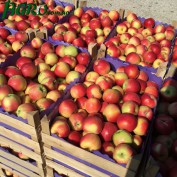 1agro.com.ua