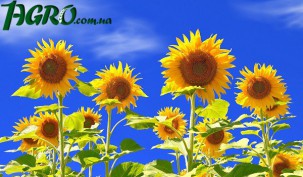 1agro.com.ua