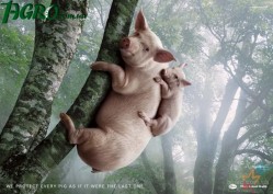 1agro.com.ua