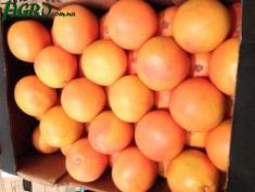 1agro.com.ua