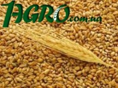 1agro.com.ua