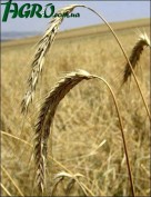 1agro.com.ua