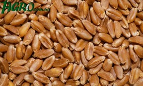 1agro.com.ua