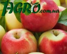1agro.com.ua