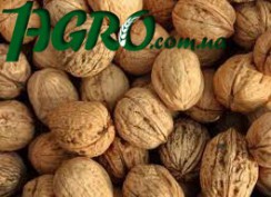 1agro.com.ua
