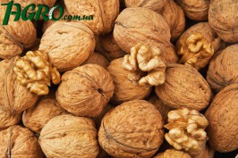 1agro.com.ua