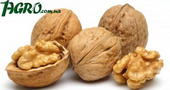 1agro.com.ua