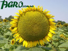 1agro.com.ua