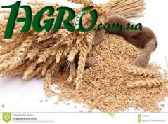 1agro.com.ua