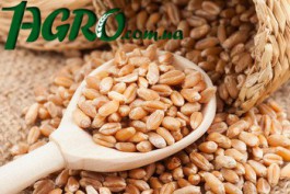 1agro.com.ua