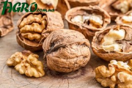 1agro.com.ua