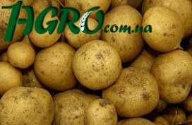 1agro.com.ua