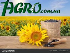 1agro.com.ua