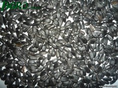 1agro.com.ua