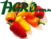 1agro.com.ua
