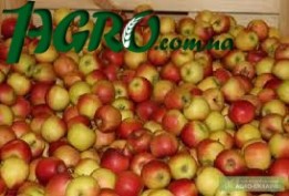 1agro.com.ua