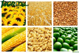 1agro.com.ua