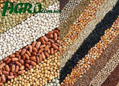 1agro.com.ua