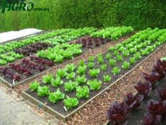 1agro.com.ua