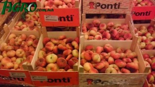 1agro.com.ua