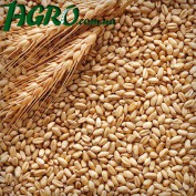 1agro.com.ua