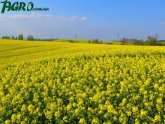 1agro.com.ua