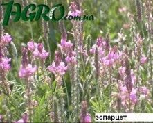 1agro.com.ua