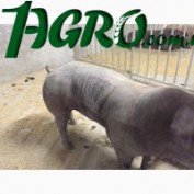 1agro.com.ua