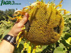 1agro.com.ua