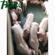 1agro.com.ua