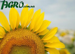 1agro.com.ua