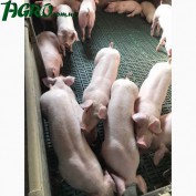 1agro.com.ua