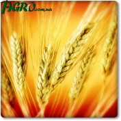 1agro.com.ua