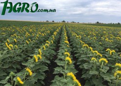 1agro.com.ua