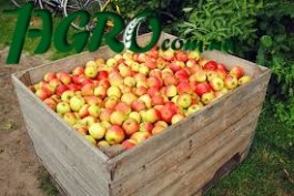 1agro.com.ua